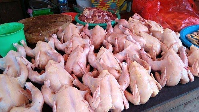 Menjelang Ramadhan 2021, Harga Daging Ayam di Sampang Melonjak