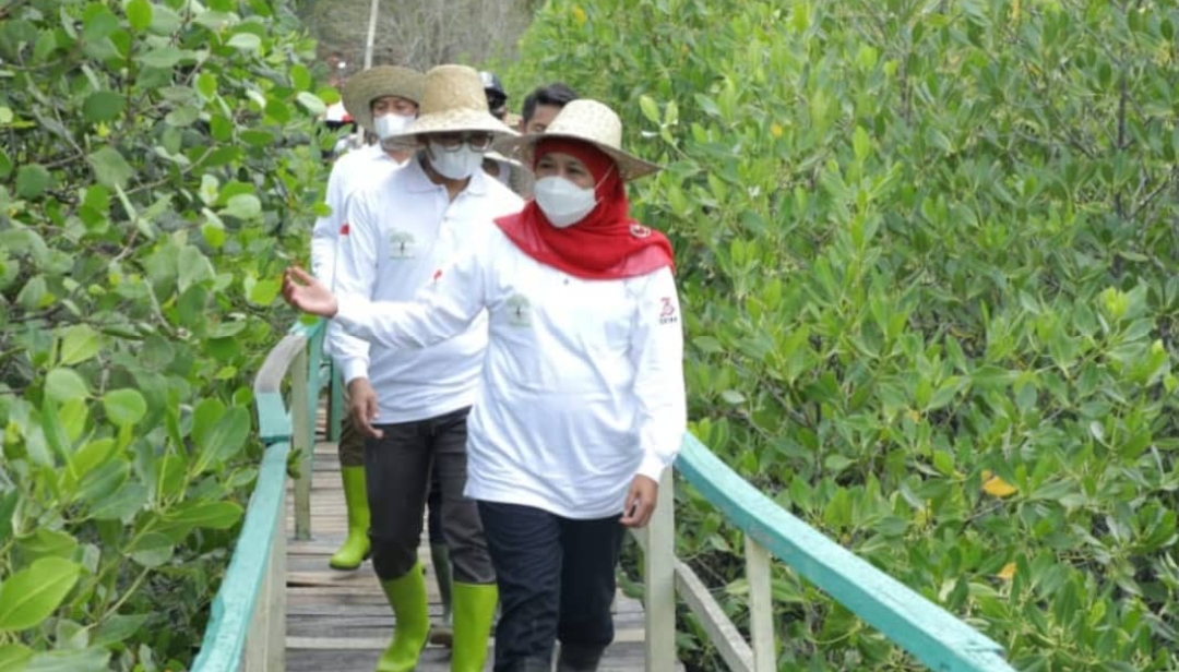 Dampingi Gubernur Khofifah, Ra Latif Harap Pemprov Jatim Prioritaskan Bangkalan jadi Penanaman Mangrove