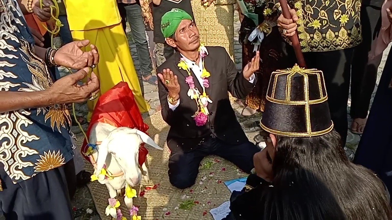 Seorang Pria di Gresik Lakukan Ritual dengan Menikahi Seekor Kambing