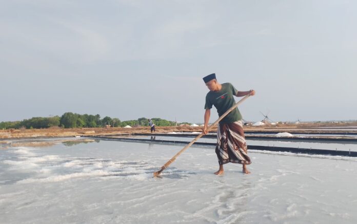 Petambak Garam di Sampang Apresiasi Sistem Pembelian PT UNICHEM